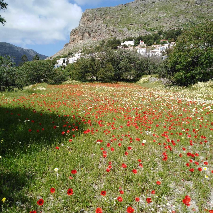 Tilos Island House Megalon Chorion  ภายนอก รูปภาพ