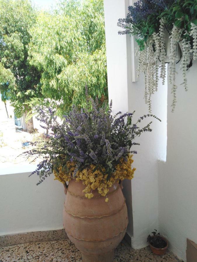 Tilos Island House Megalon Chorion  ภายนอก รูปภาพ